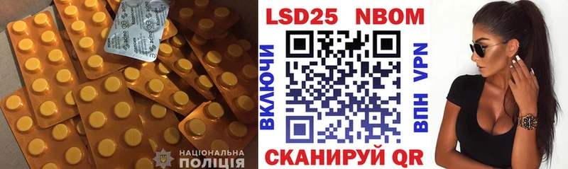 блэк спрут зеркало  Зубцов  ЛСД экстази кислота 